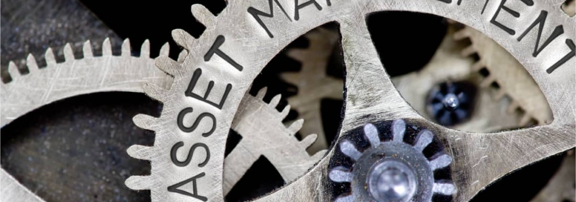 managementul activelor ManWinWin